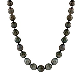 KM-1113